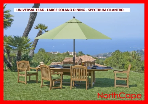 5630-universal-teak-large-solano-dining-spectrum-cilantro