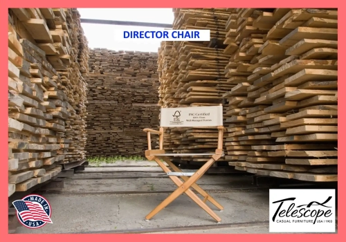 5675-director-chair
